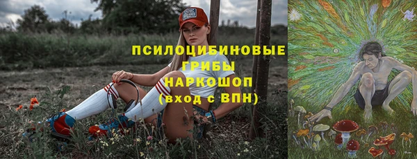 МДПВ Алзамай