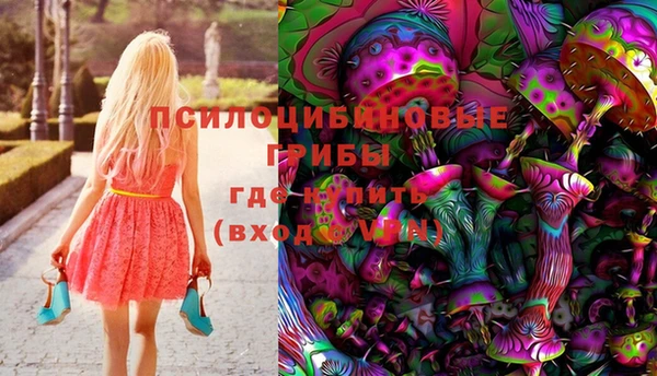 ПСИЛОЦИБИНОВЫЕ ГРИБЫ Алексеевка