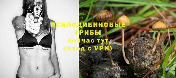 a pvp Алексин